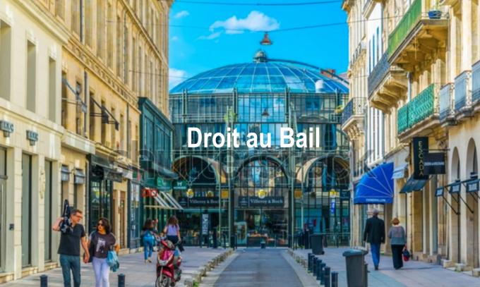 Location Immobilier Professionnel Local commercial Bordeaux (33000)
