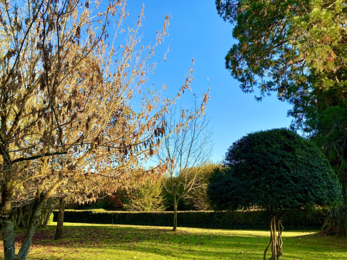 Offres de vente Terrain Pessac (33600)