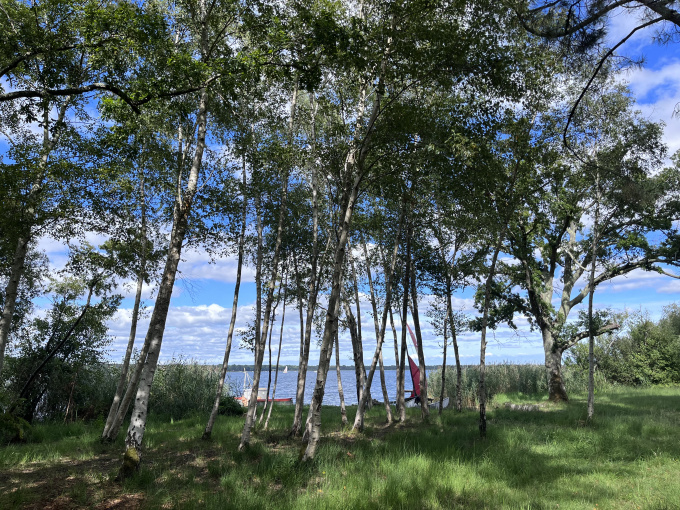 Offres de vente Terrain Lacanau (33680)